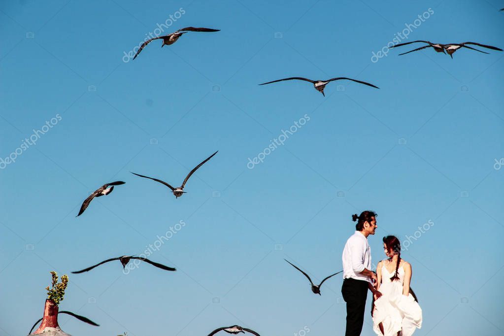 Lovely Couple Hugging Roof Seagull Background Bosphorus   Stock 1023x682