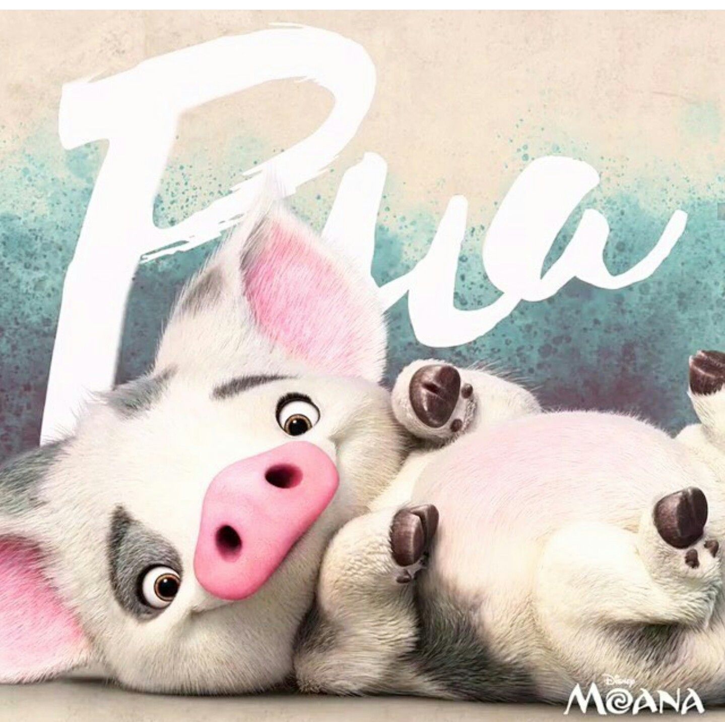 Pua Disney S Moana Plus Sidekicks Animation