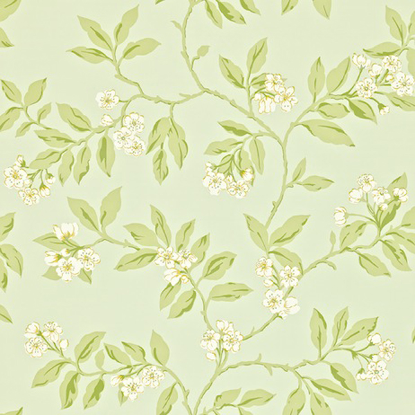 [45+] Sage Green Wallpaper Wallcoverings on WallpaperSafari