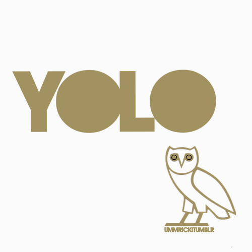 Ovo Owl Logo Gallery For Drake