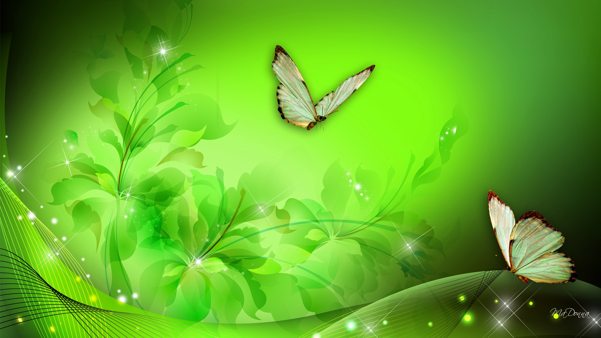 Green Flowers Wallpaper HD Pictures Live