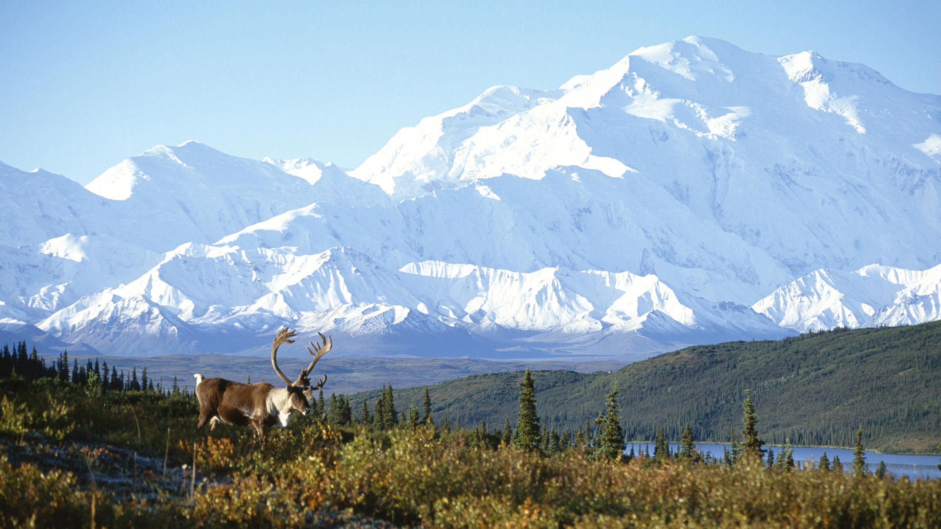Alaska Cool Background And Wallpaper For Your Desktop
