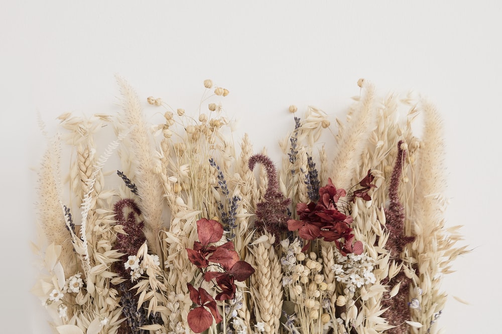 13+] Dried Flowers Desktop Wallpapers - WallpaperSafari