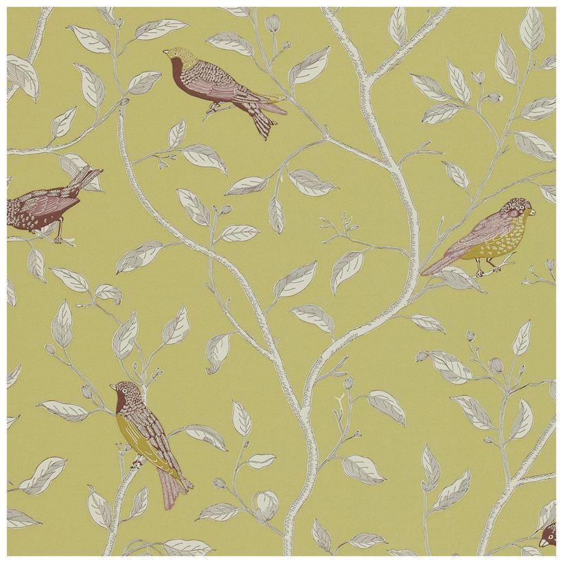 Sanderson Wallpaper Options 10 Finches Collection DOPWFI102 DOPWFI102