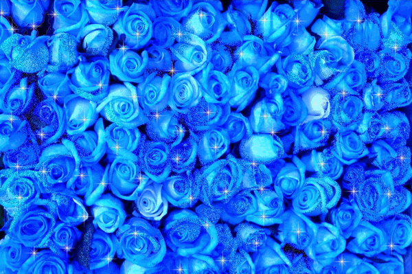 Blue Background Roses Glitter Photo Rose Animated Gif