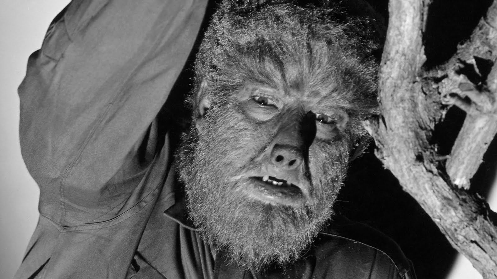 More Wolfman Wallpaper Wolfmen
