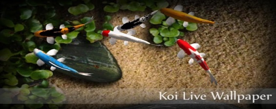 Koi Pond Live Wallpaper The Android Vibe