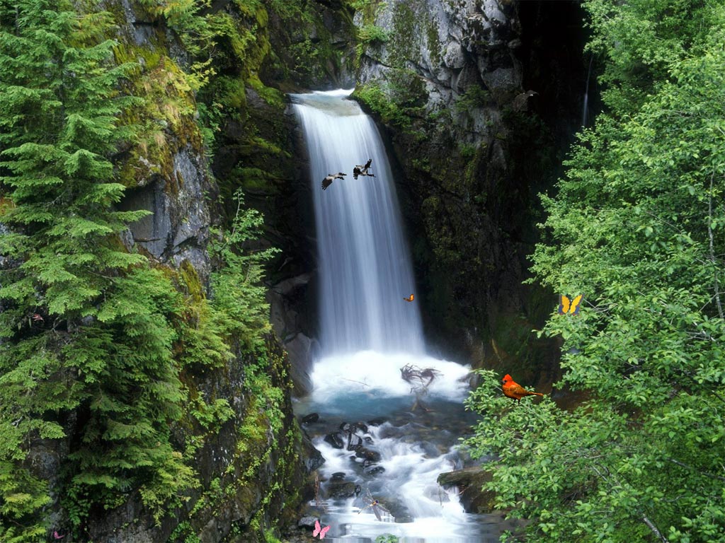 Waterfalls Screensaver Charming