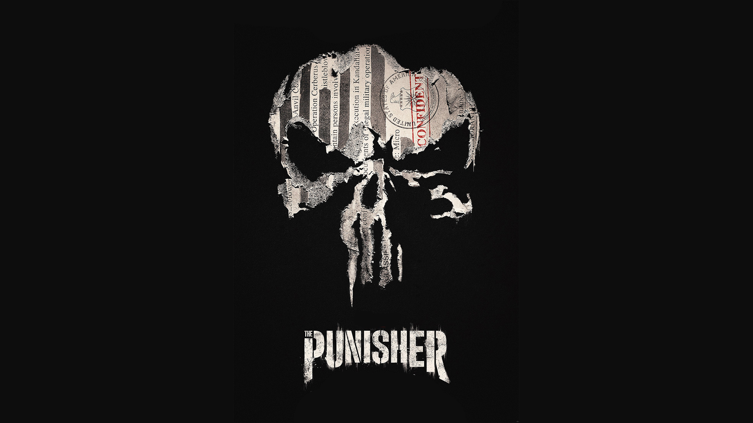 Punisher Marvel Wallpaper HD Tv Series 4k Image