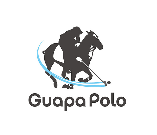 Polo Protection Equitation P Sweat Hv Orlando Html