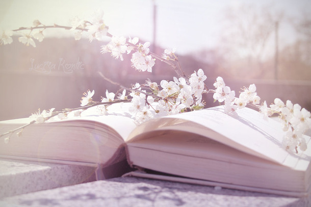 Beautiful Book Cream Flower Flowers Lovely Nice Pastel Photo