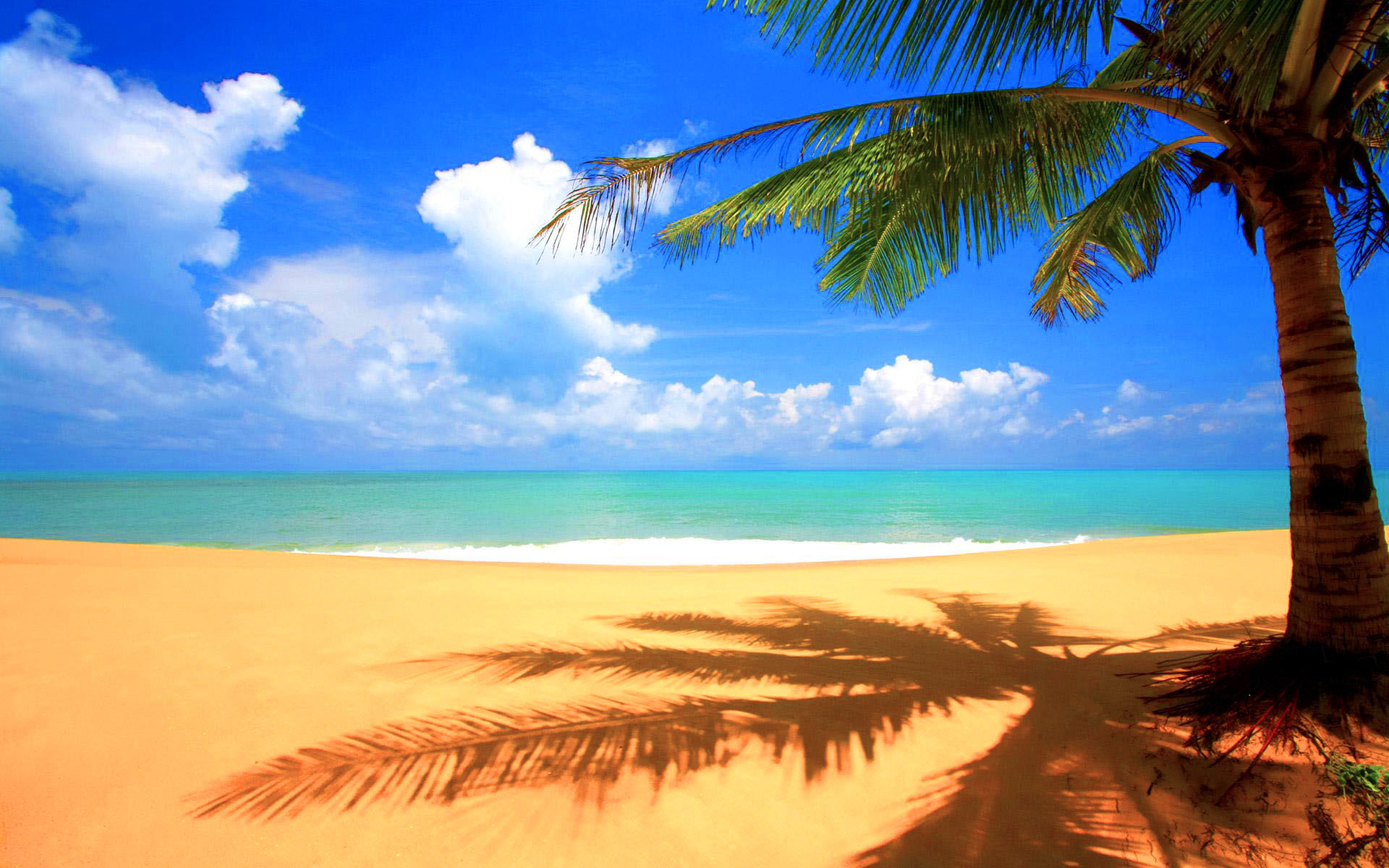 Free download Beach with Palm Tree Cool Twitter Backgrounds [1920x1200