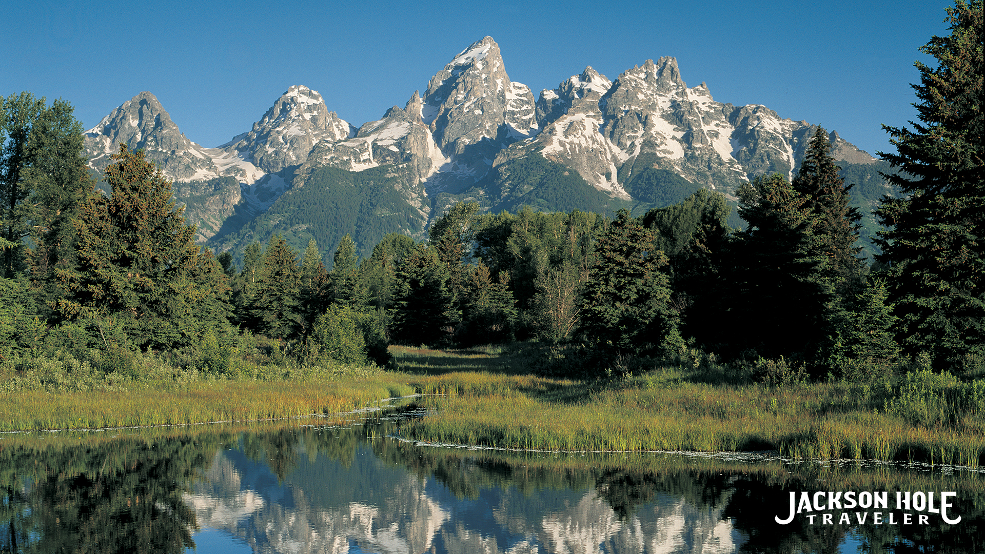 Zoom Background For Jackson Hole Grand Teton And Yellowstone