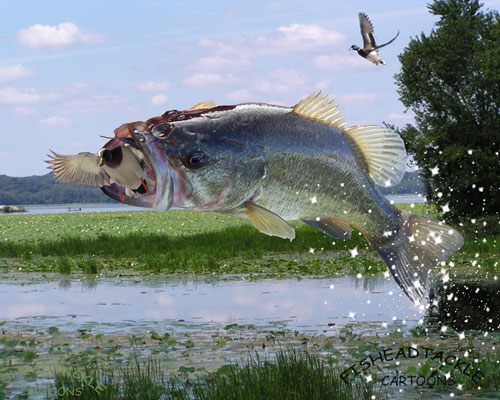 Largemouth Bass In Many Pictures Jumping