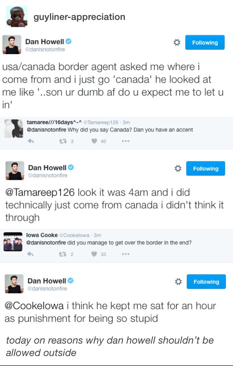 Reasons Why Dans A Fail Theme Playing In The Background Dan