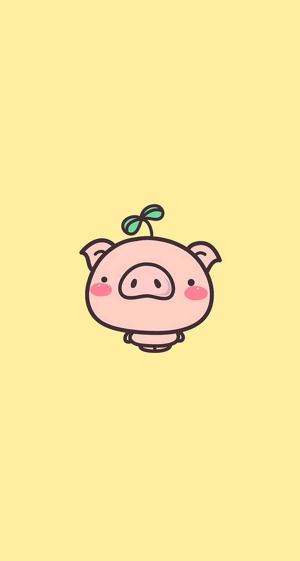 Cute Pig Wallpaper