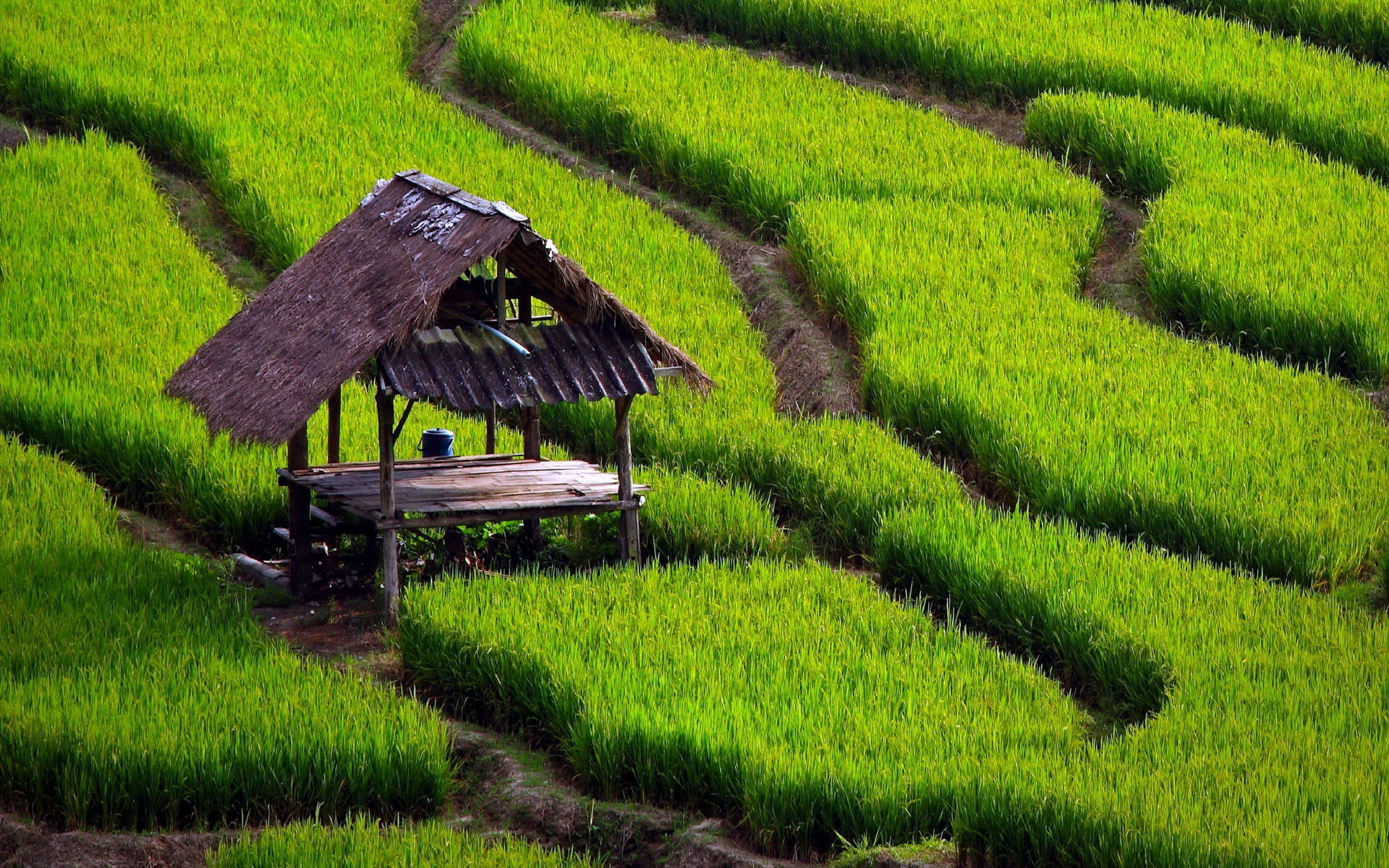 Farm Desktop Wallpaper