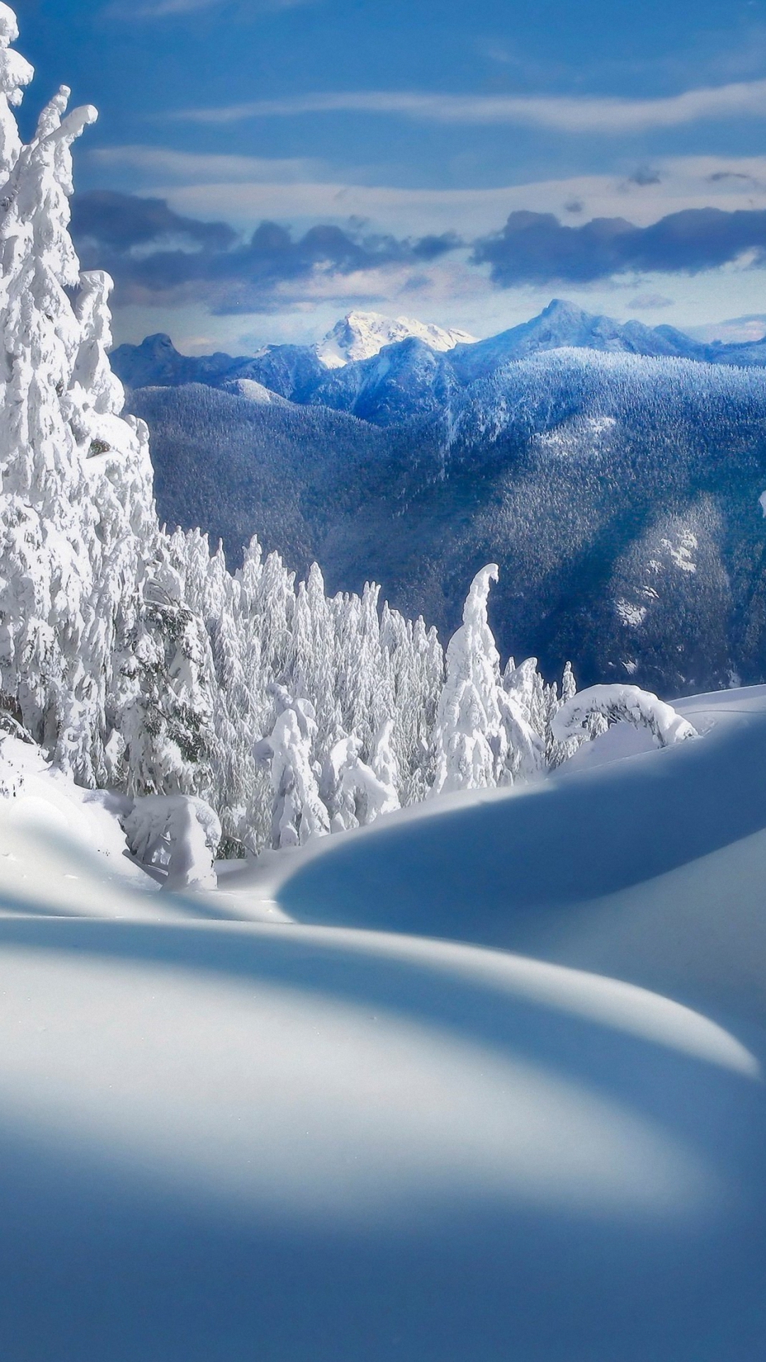 A breathtaking winter wonderland scene with snow-covered trees and mountains in the background under a blue sky