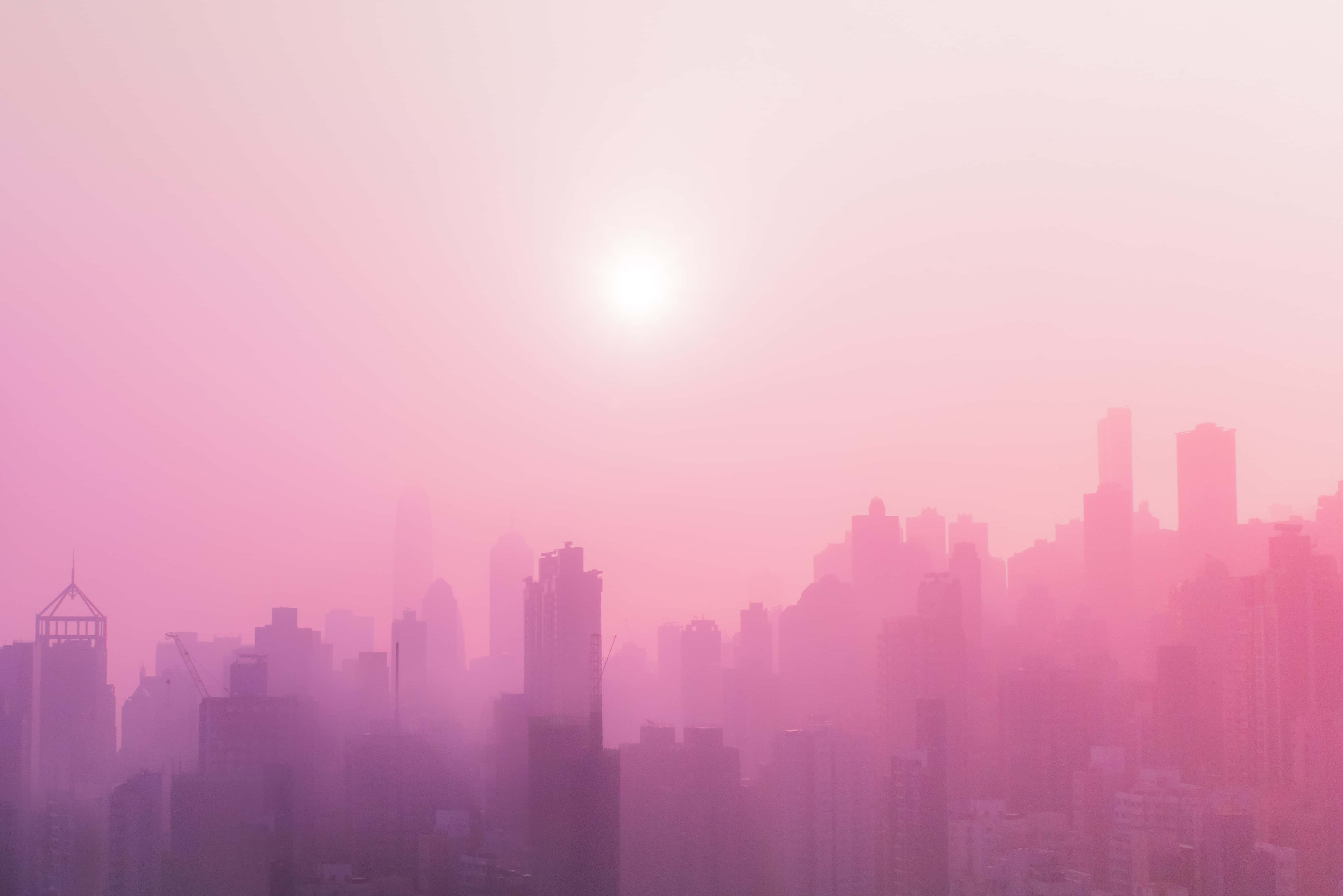 Pink City Wallpaper