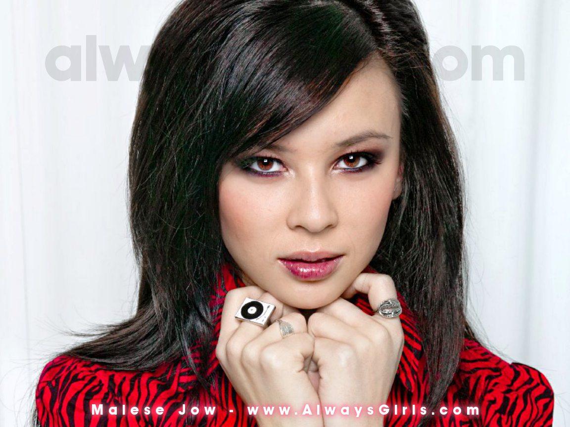 Malese Jow Photos Image S Cute