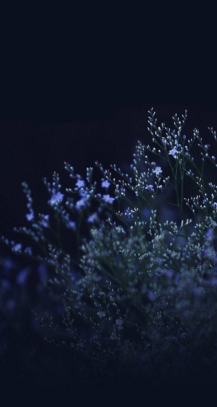 Top Cute Dark Girly Wallpaper Full HD 4k To Use
