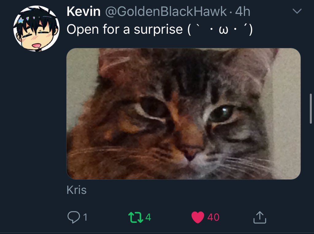 Kevin On Open For A Surprise