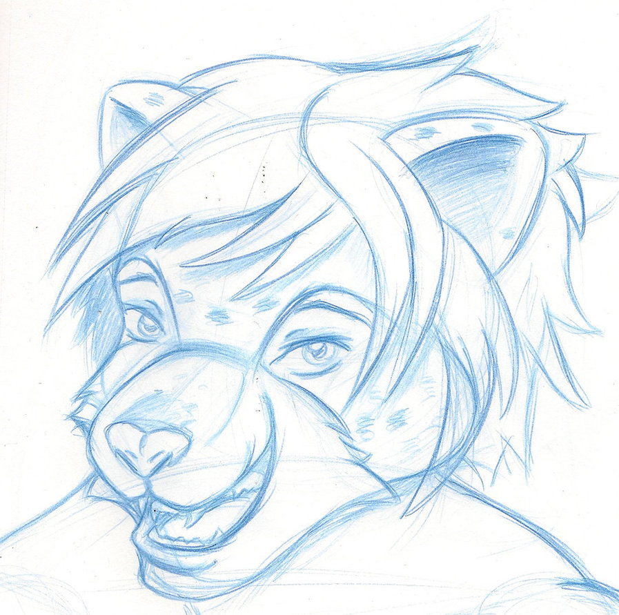 Snow Leopard Drawing By Streetisking