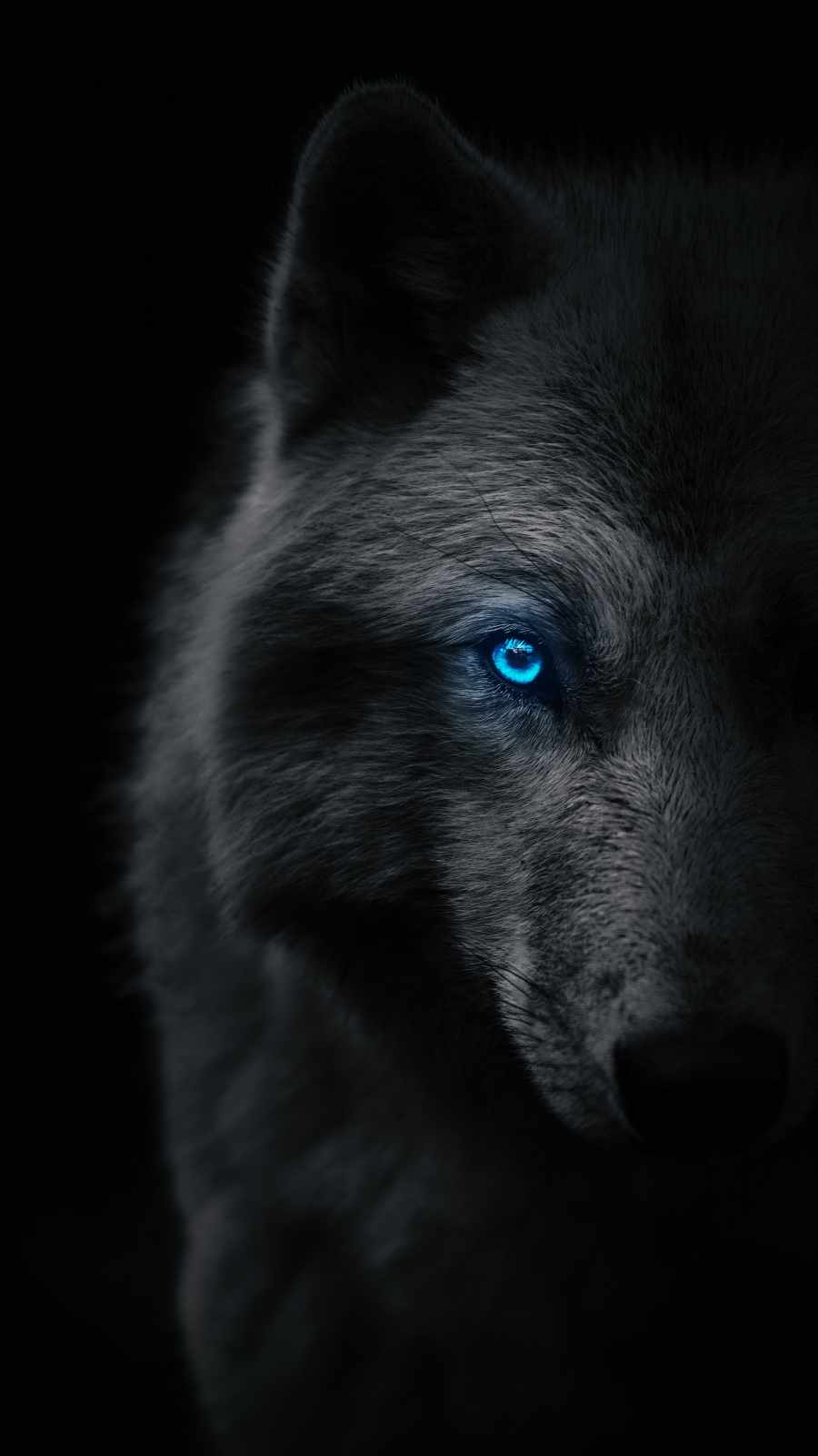 Cool Black Wolf Background Wallpaper