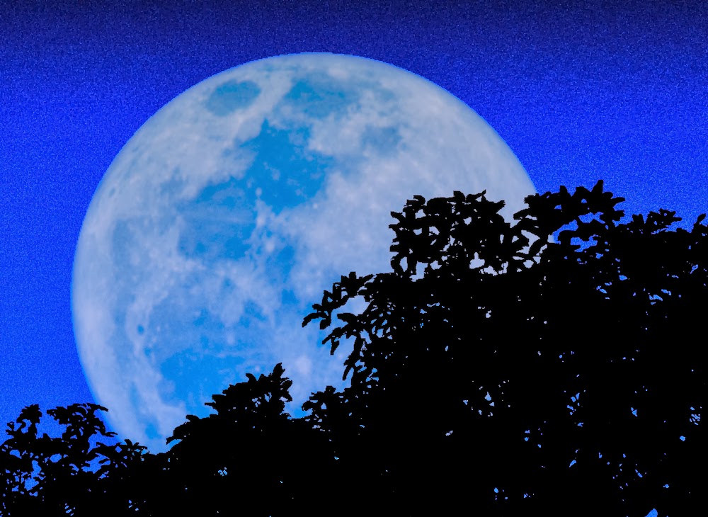 Blue Full Moon HD Wallpaper