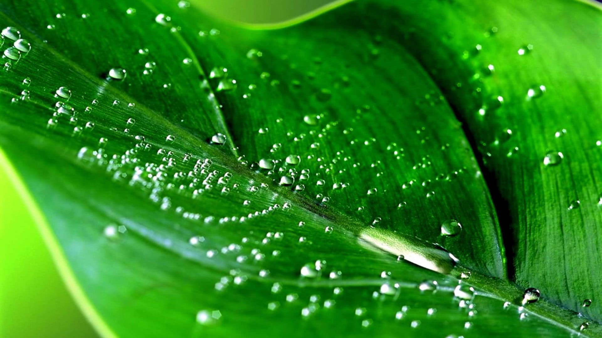 Desktop High Res HD Wallpaper
