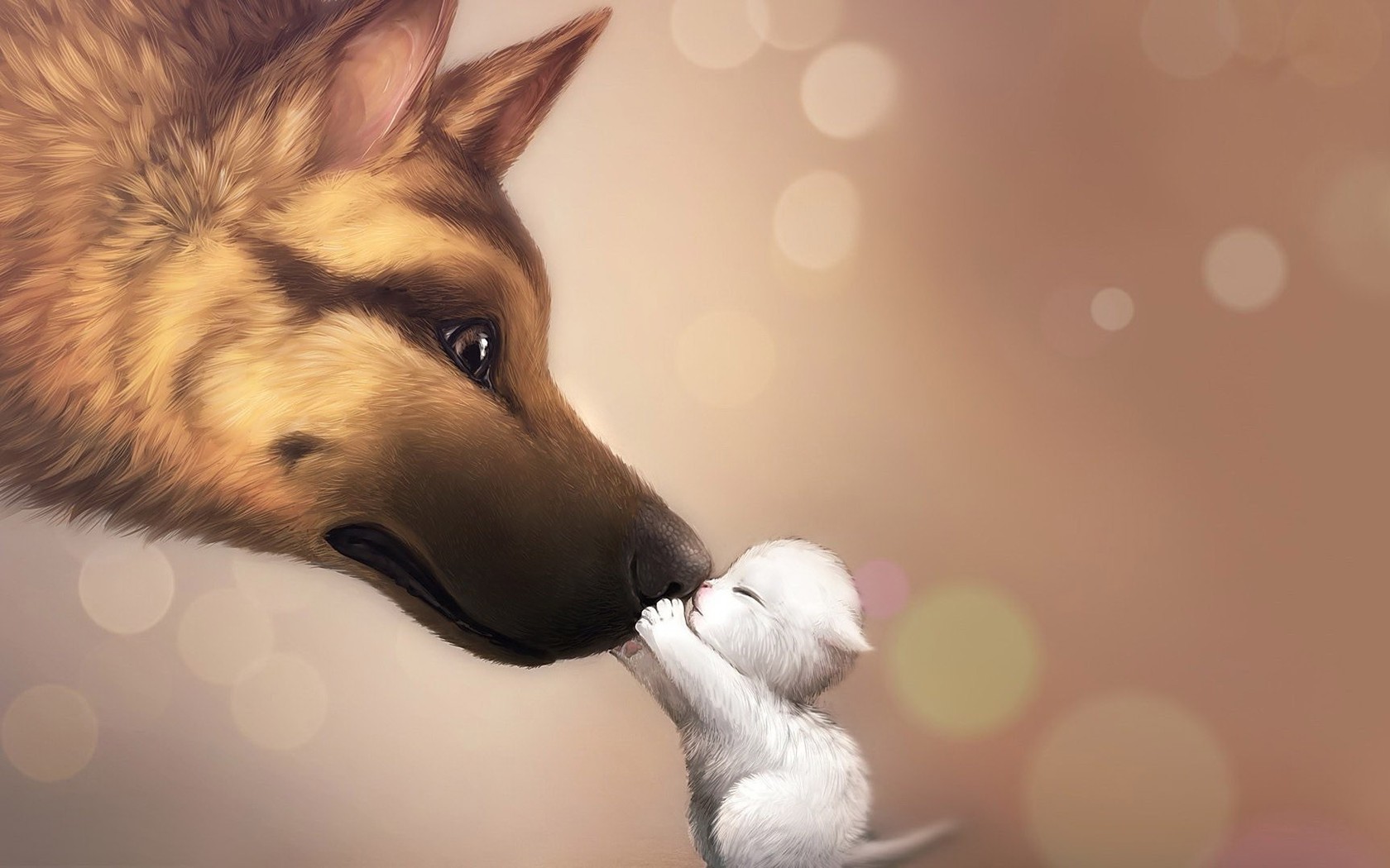 Kitten And Dog Wallpaper