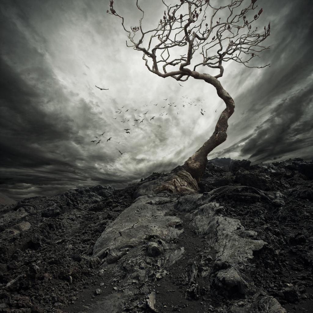 Errie Mystery Background By Hz Designs