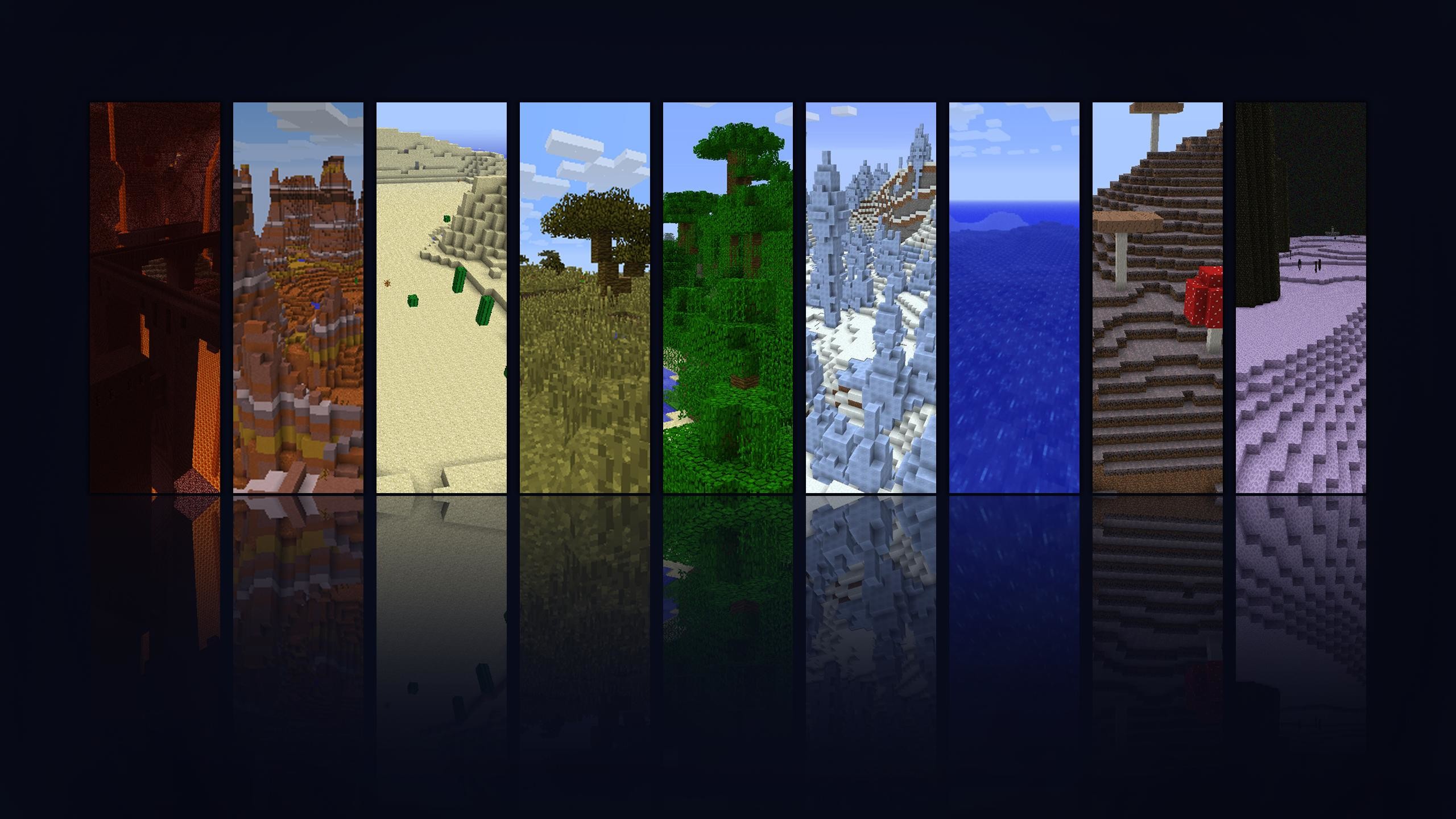 Collage of Minecraft Biomes with Reflections