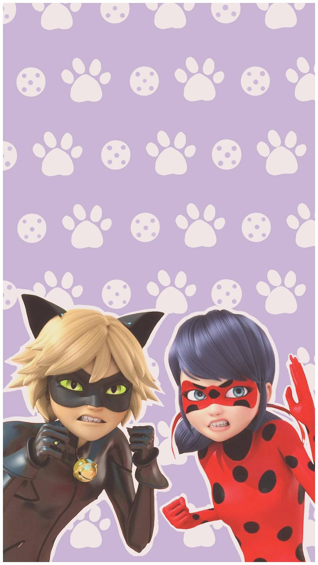 Ladybug And Cat Noir Wallpaper