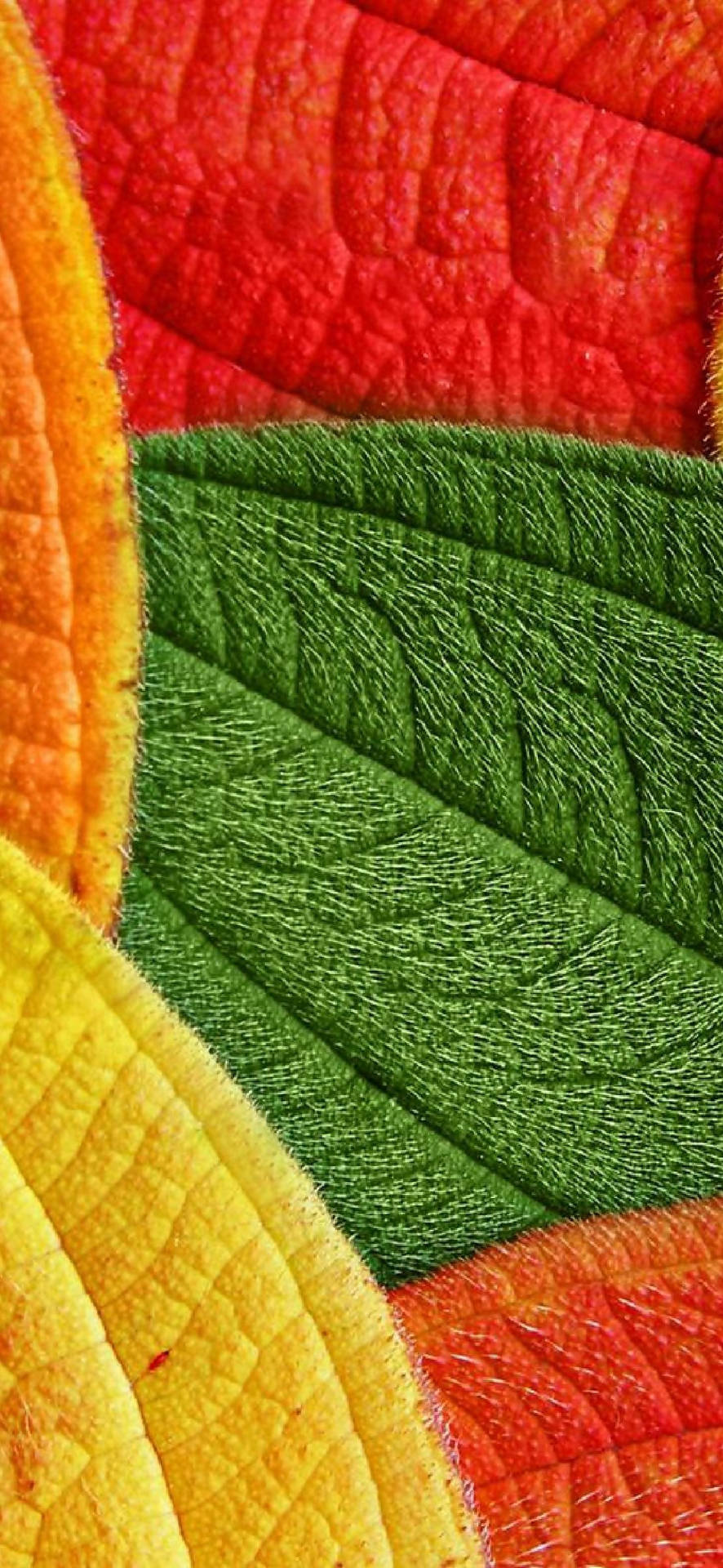 Pixel Vibrant Leaves Pattern 9Eo9Dp0Yw0Uaqhvc Wallpaper