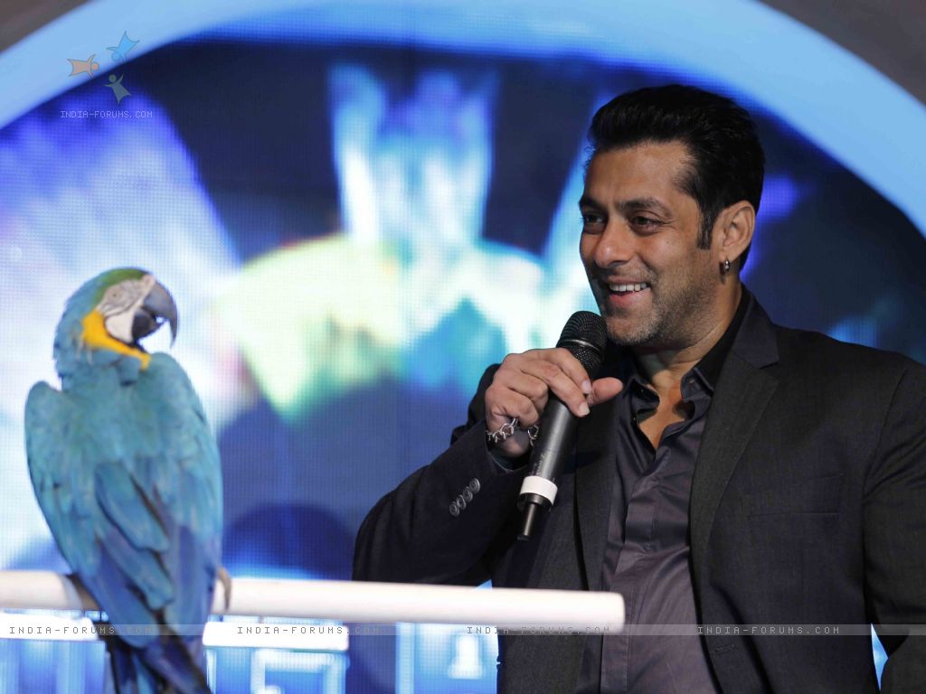 Bigg Boss Season Salman Khan At Triden Wallpaper Size