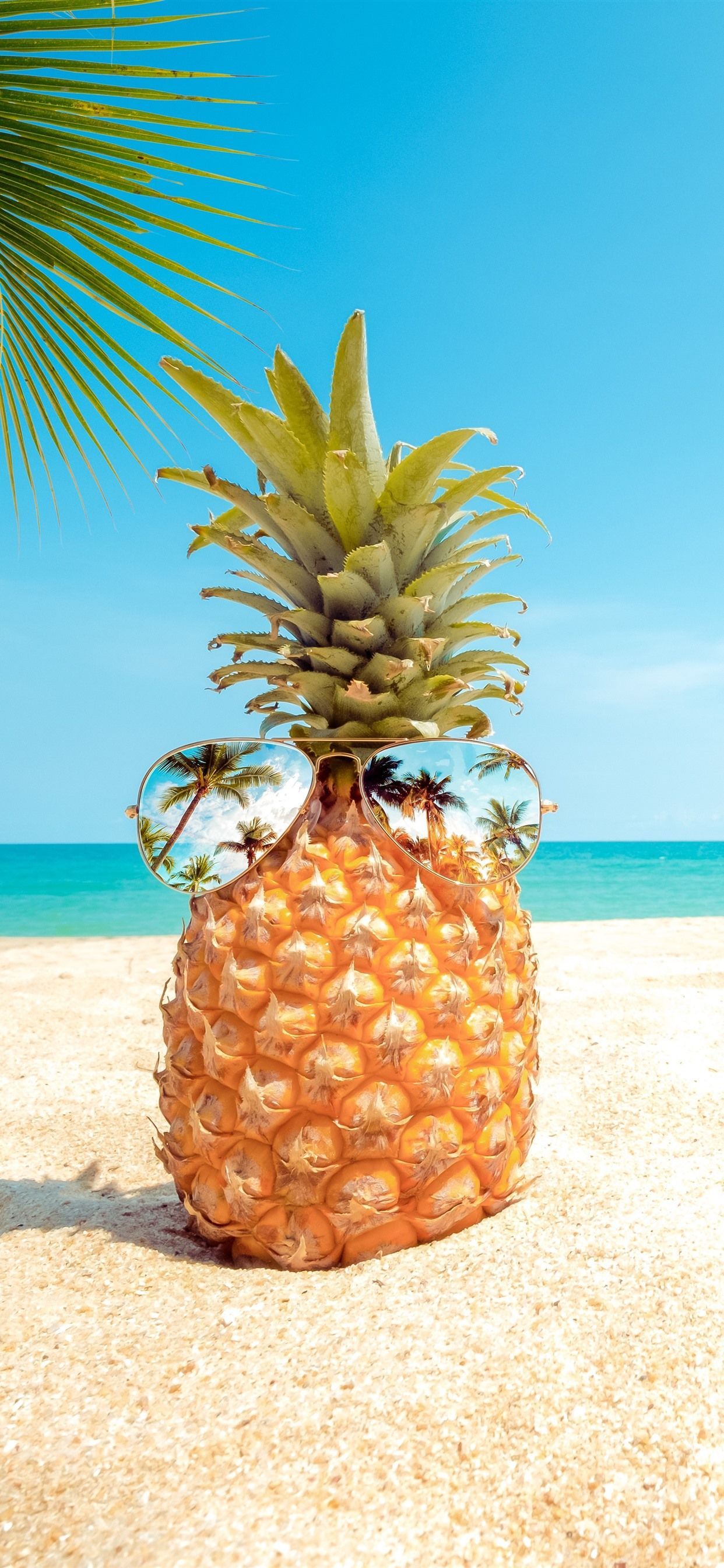 Pineapple Beach Wallpaper
