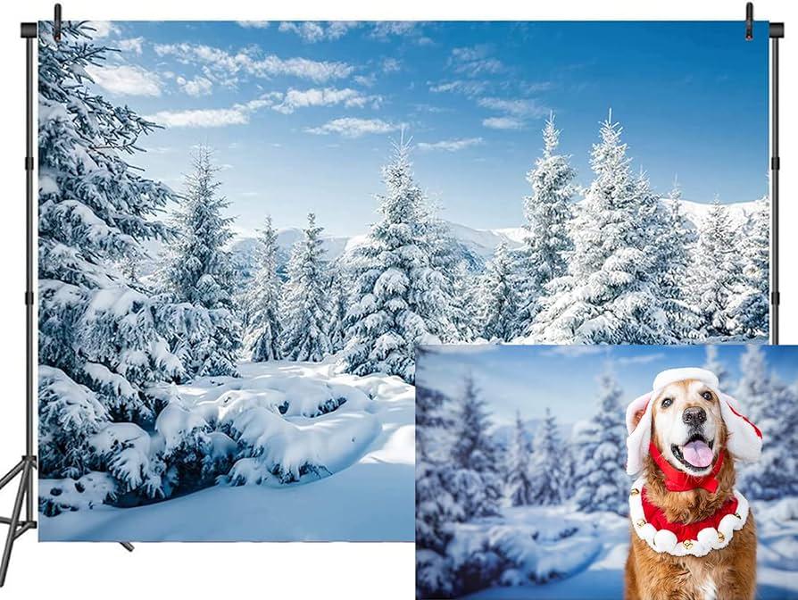Amazoncom CSFOTO Polyester 6x4ft Winter Scene Photo Backdrop