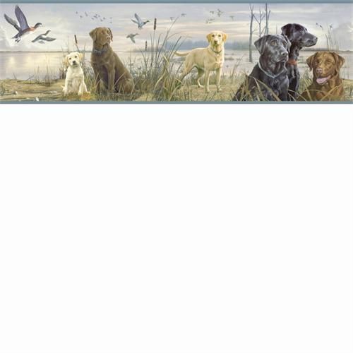 Free download Labrador Retriever Wallpaper Border 11 Hd Wallpaper