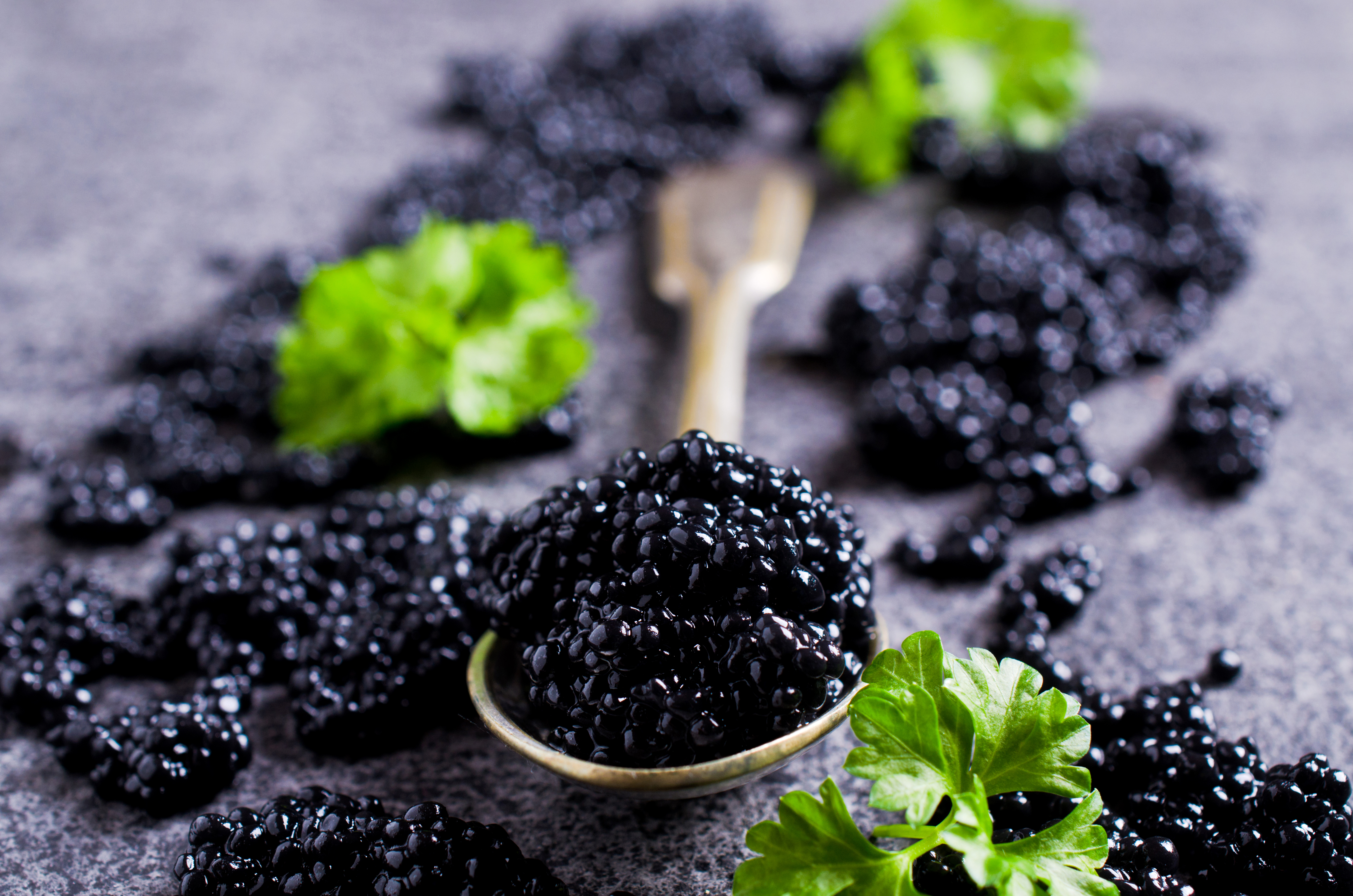 Caviar 5k Retina Ultra HD Wallpaper Background Image