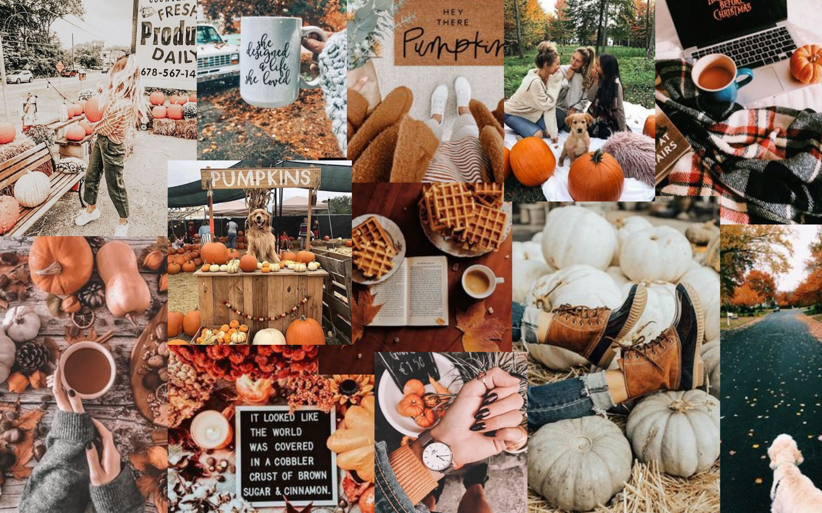 Fall Computer Wallpaper Collage Desktop Cute