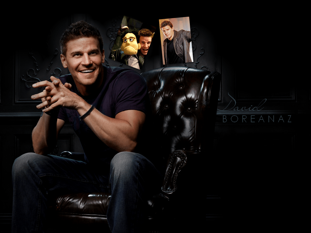David Boreanaz Wallpaper