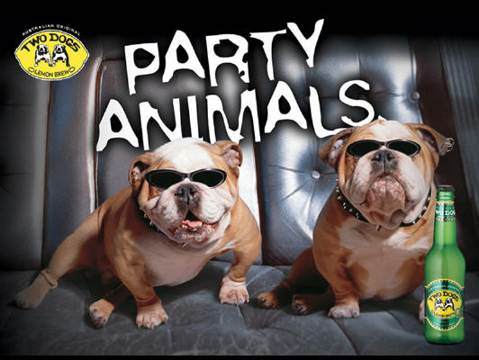 Party Animals Wallpaper - WallpaperSafari