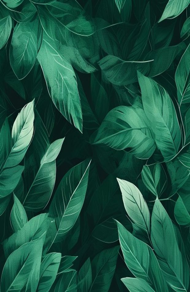 Dark Green Wallpaper Hd