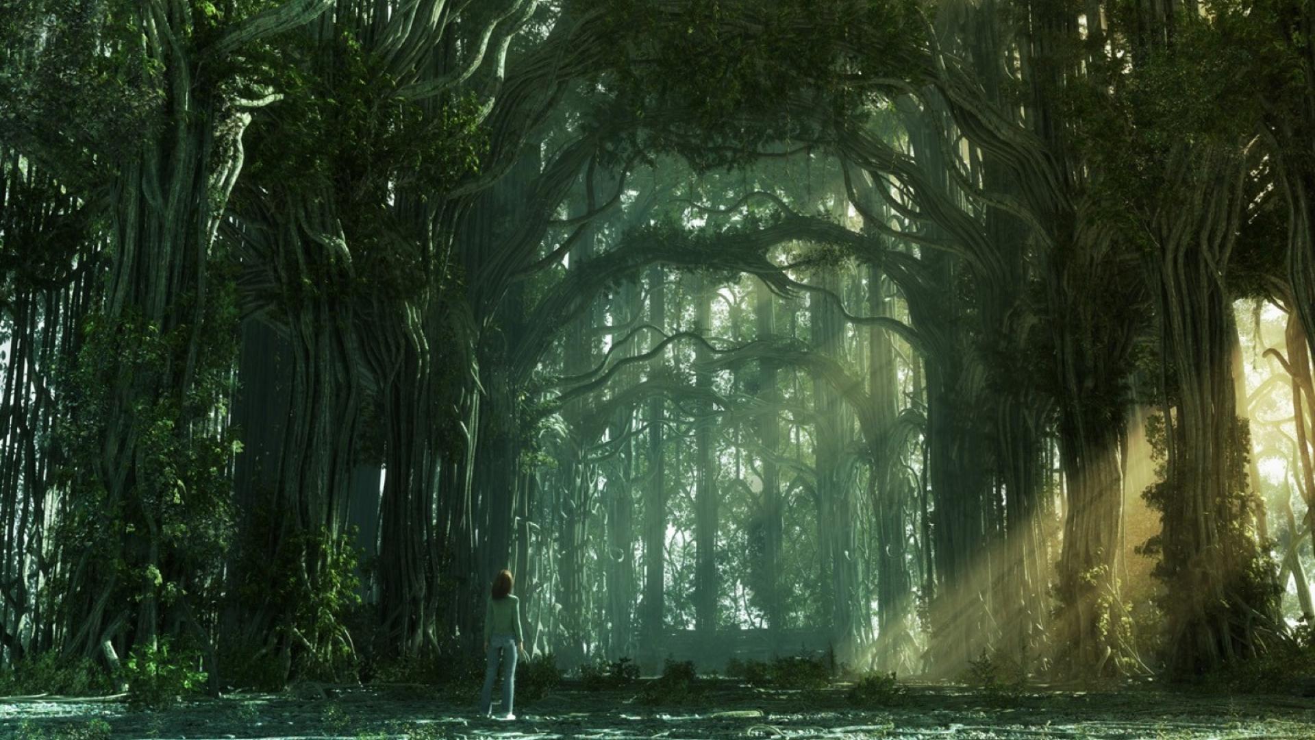 Fantasy Art Forests Trees Wallpaper Hq