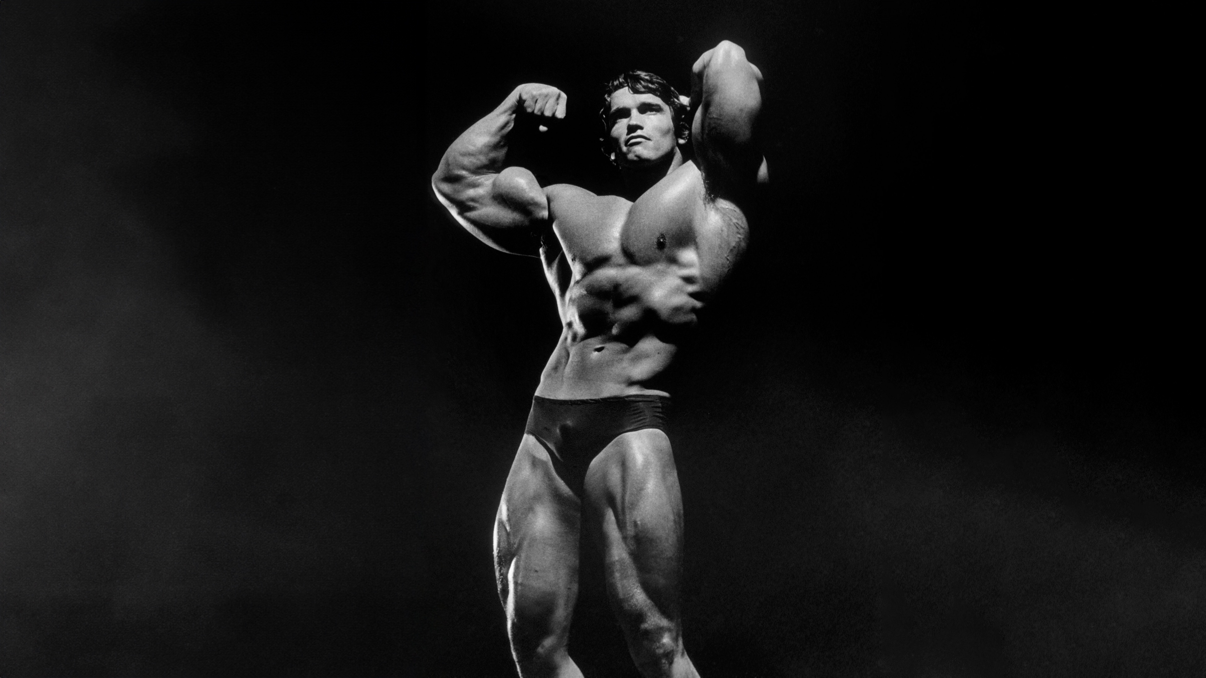 Arnold Schwarzenegger Bodybuilding Wallpaper