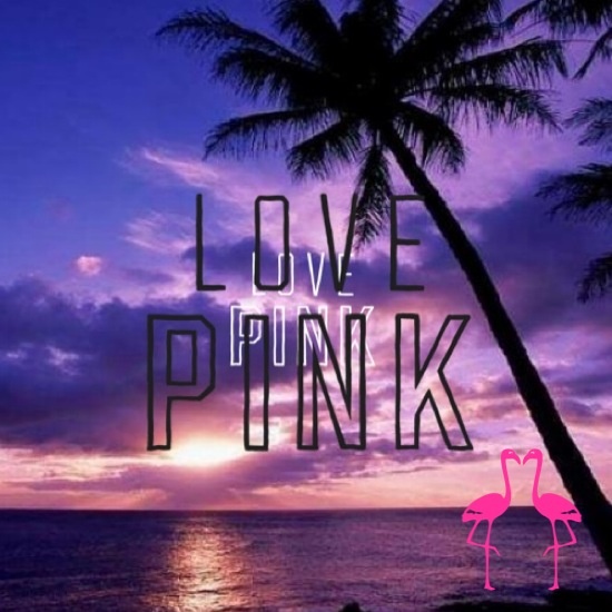 I love pink pink victoria secret love cute heart HD wallpaper  Pxfuel