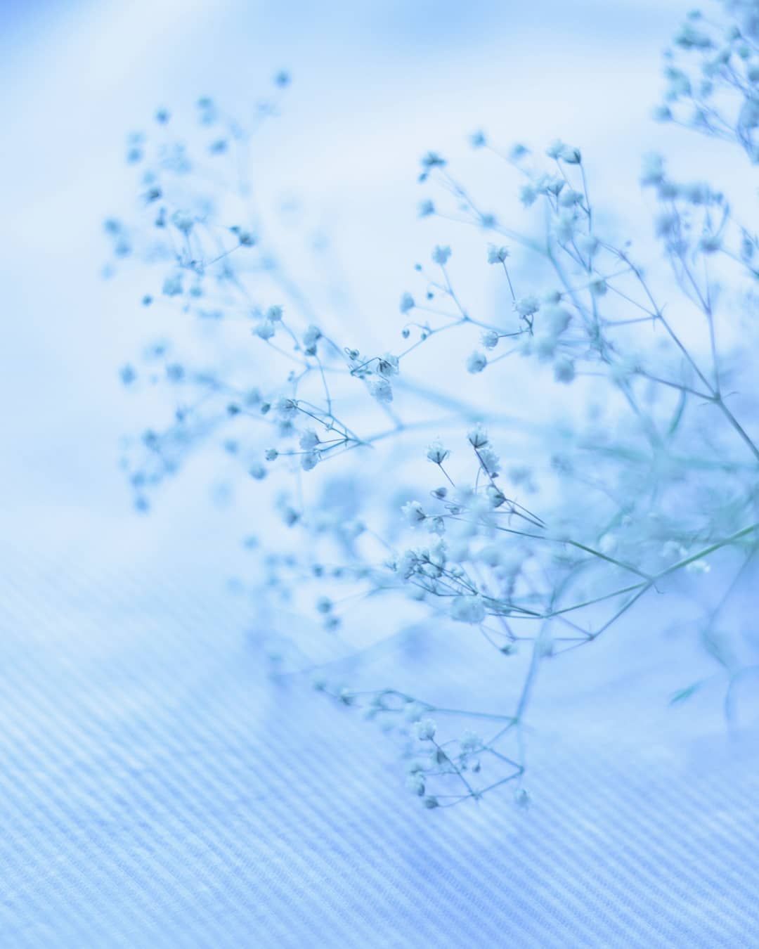 Pastel Blue Wallpaper On
