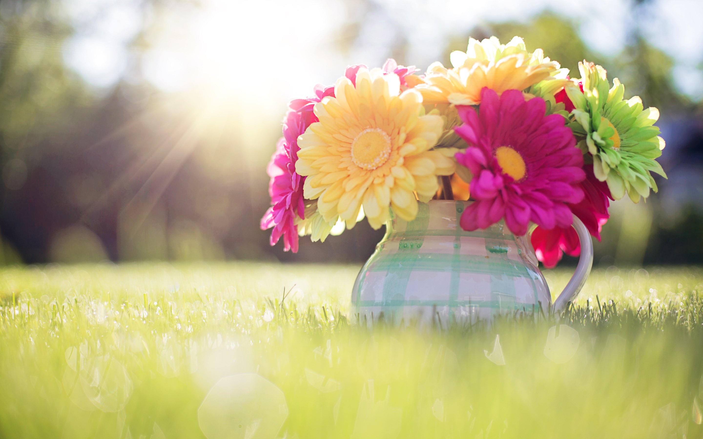 Spring Hd Wallpaper 4k