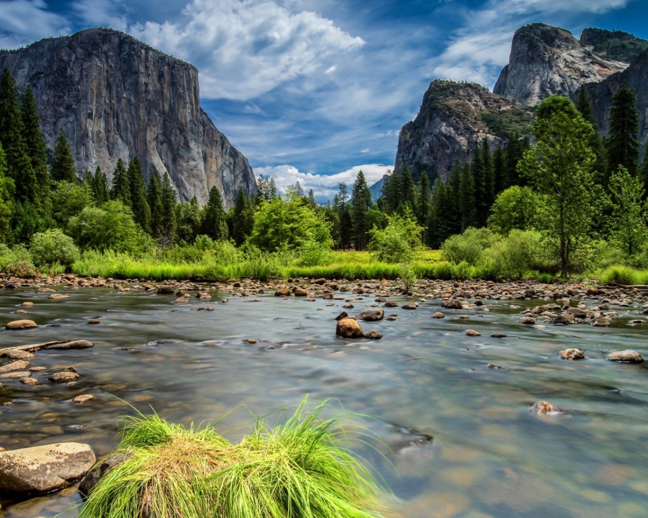 Yosemite Park Scenery
